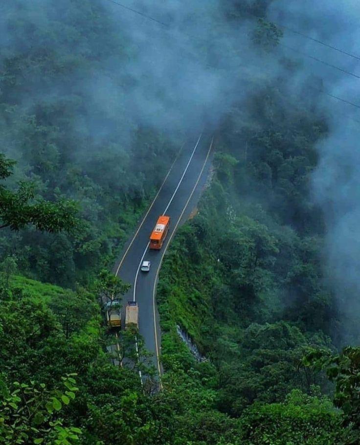 ENJOY THE PEACEFULL BEAUTY OF WAYANAD