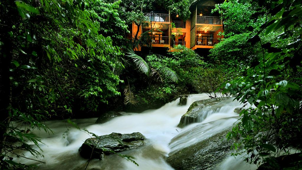 ENJOY THE PEACEFULL BEAUTY OF WAYANAD